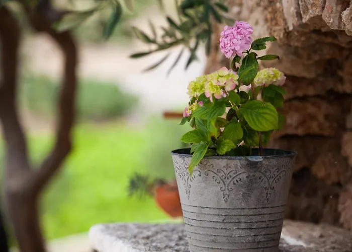 Franka With Pool Апартаменты Бол