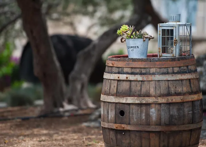 Franka With Pool Апартаменты