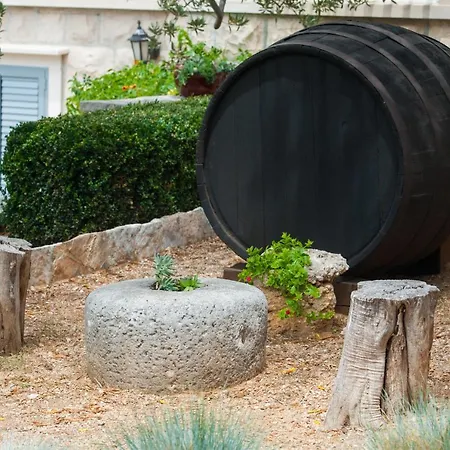 Franka With Pool Bol