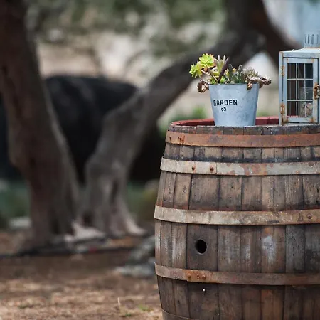 Franka With Pool Apartman